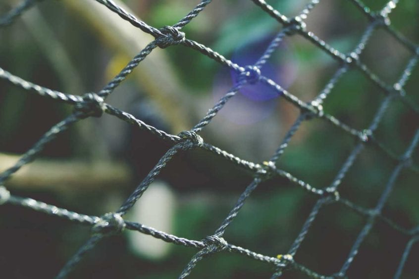 Black Netting