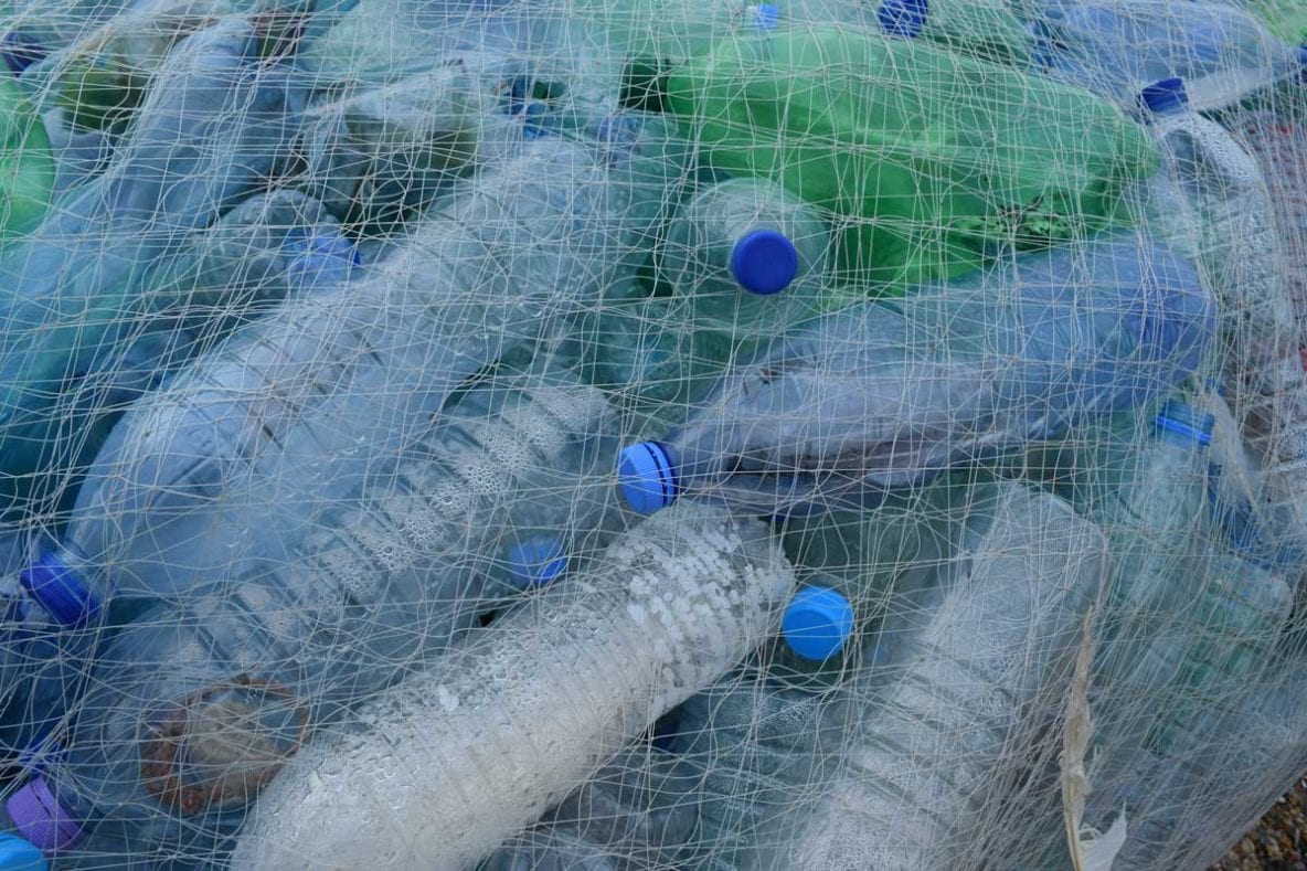 Bottles in a net